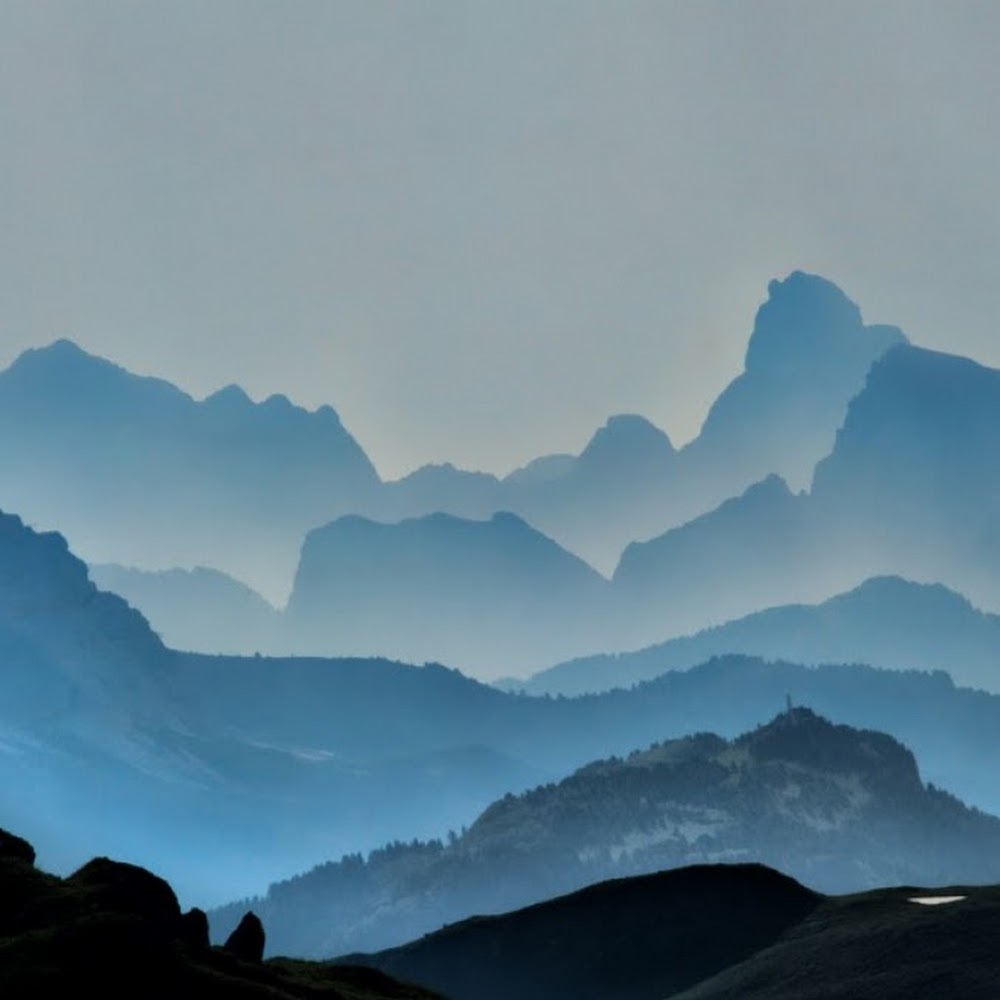 Meet your Posher, Quinn